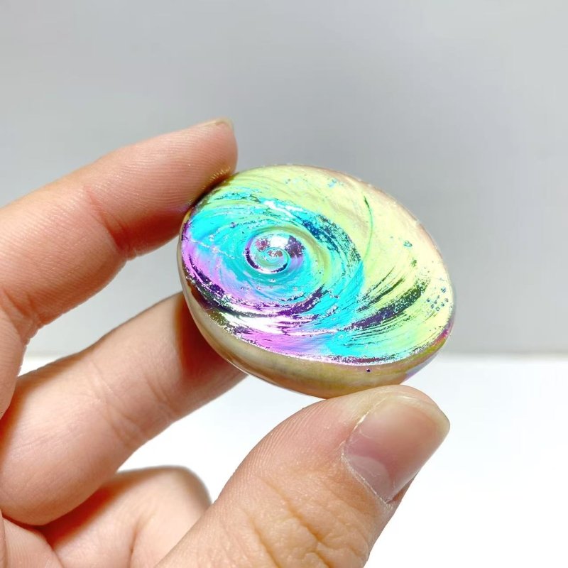 Aura Shell Fossil Wholesale - Wholesale Crystals