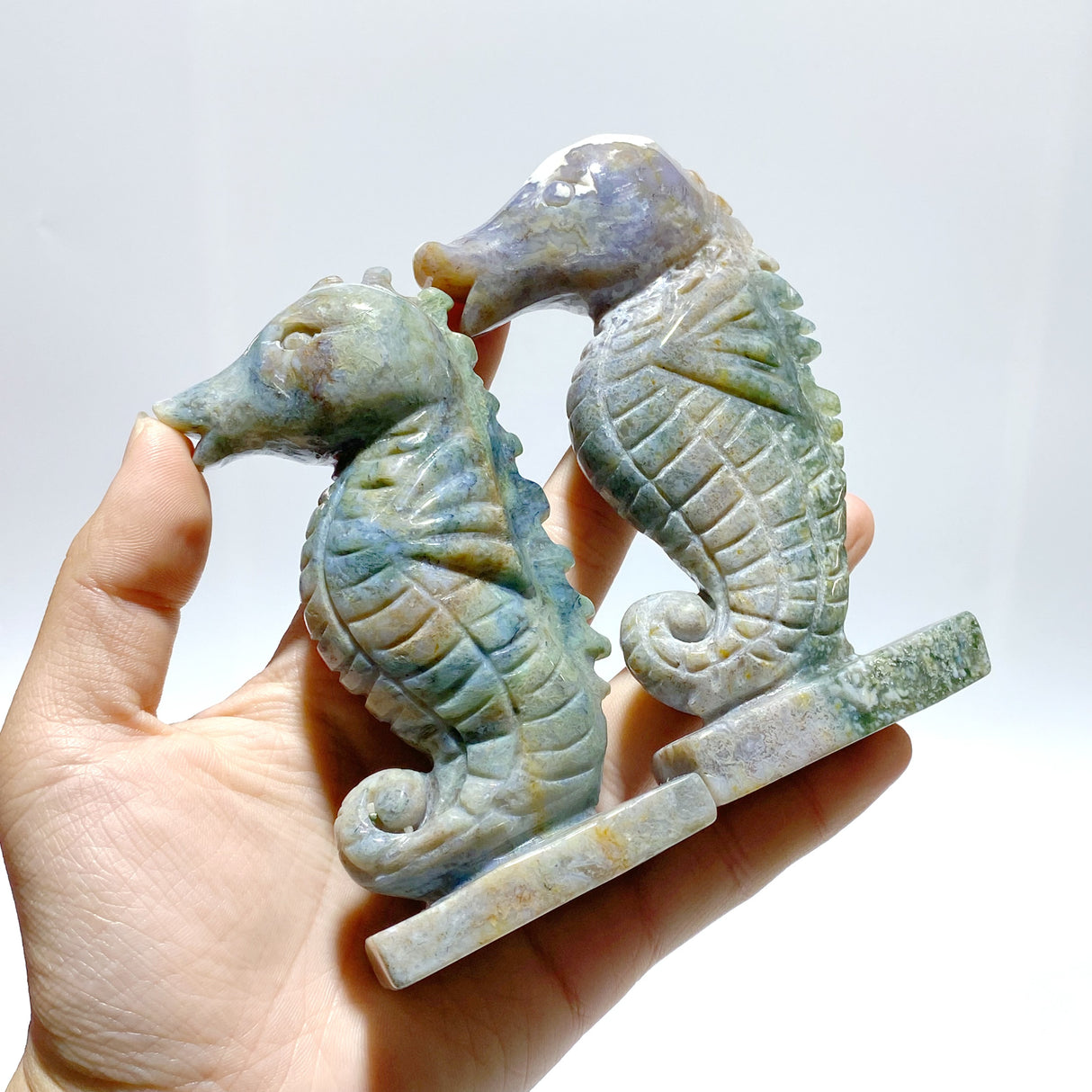 10 Pieces Moss Agate Seahorse Carving