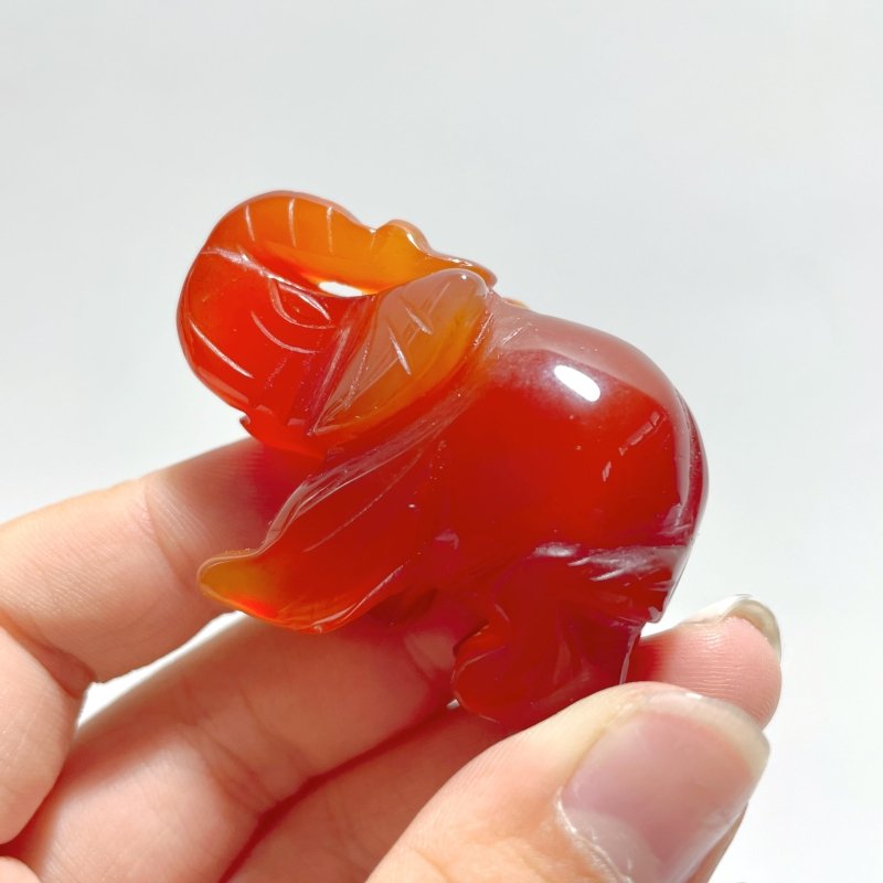 Beautiful Carnelian Elephant Carving Wholesale - Wholesale Crystals