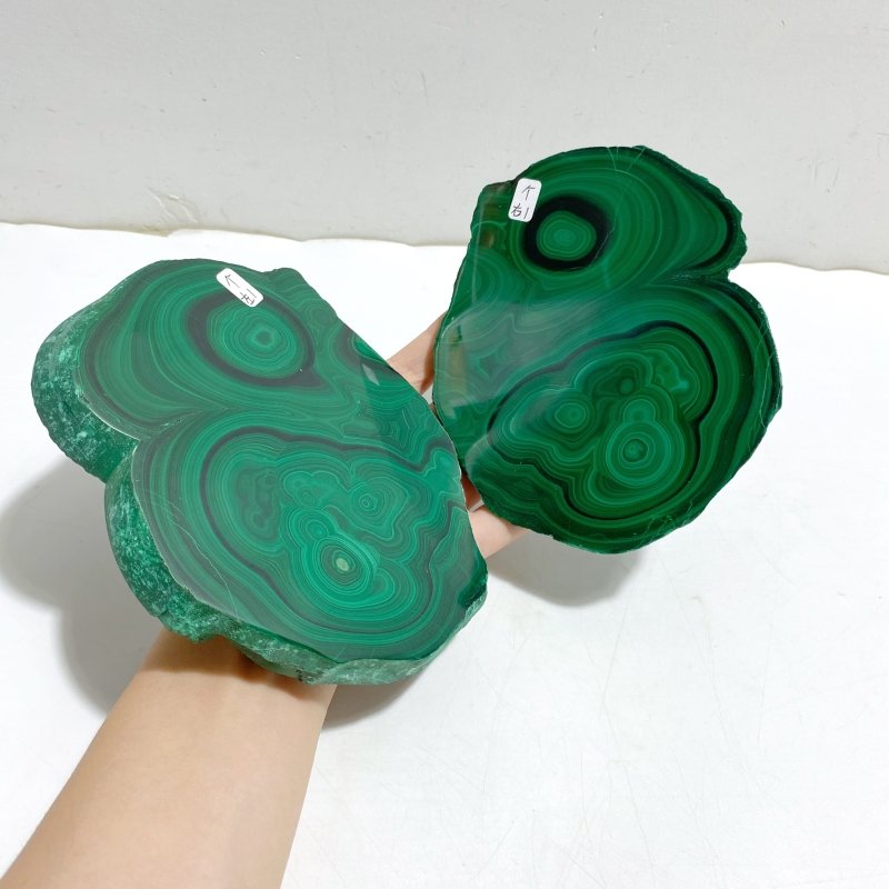 Beautiful Polished Malachite Slab Butterfly Wing With Stand (4) -Wholesale Crystals