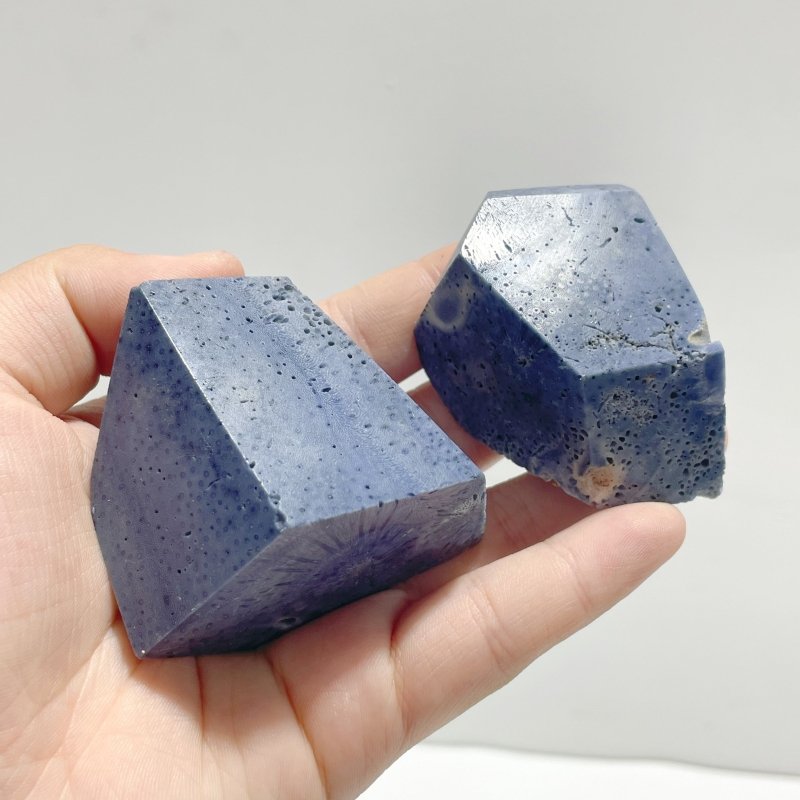 Blue Ridge Coral Free Form Heliopora Coerulea Wholesale - Wholesale Crystals