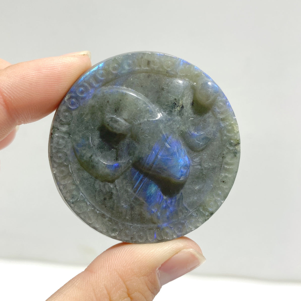 17 Pieces Labradorite Constellation Carving Clearance