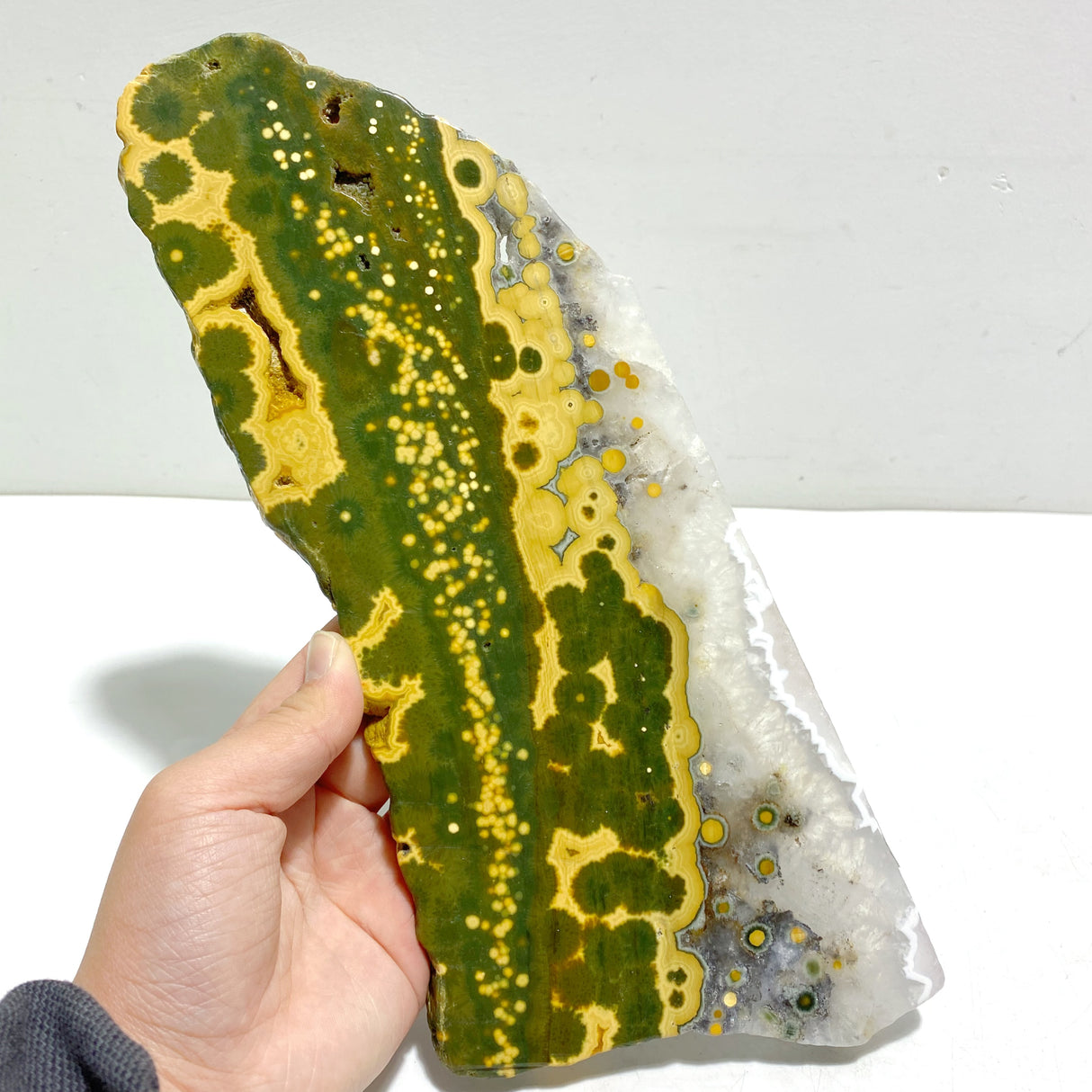 Unique 8th Vein Ocean Jasper Slab With Stand #11
