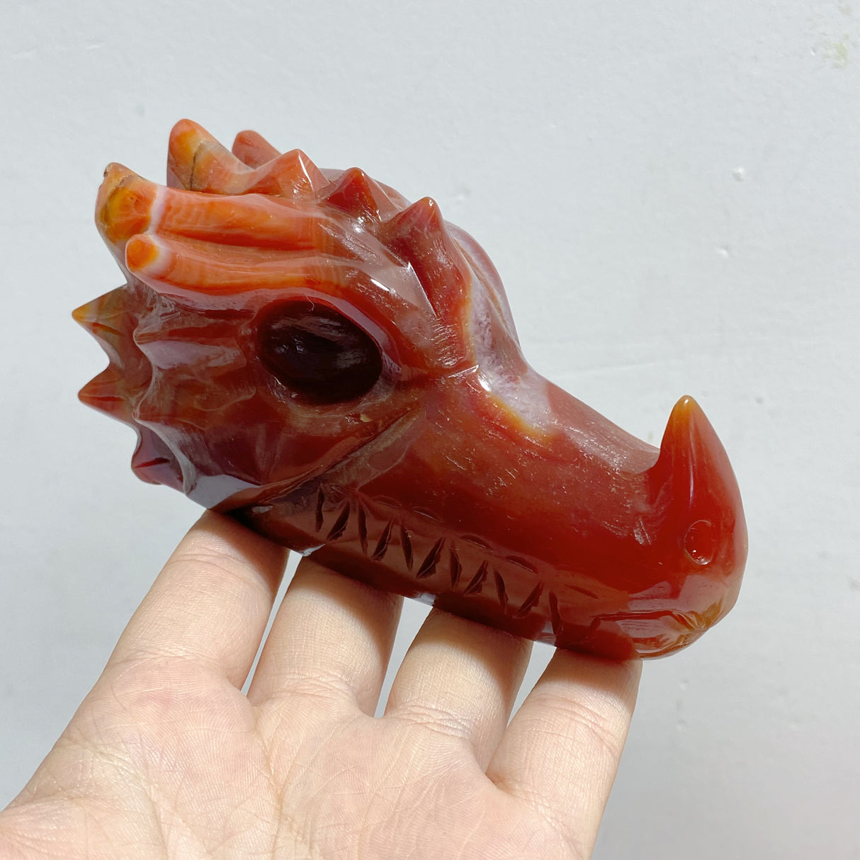 9 Pieces Carnelian Dragon Head Carving