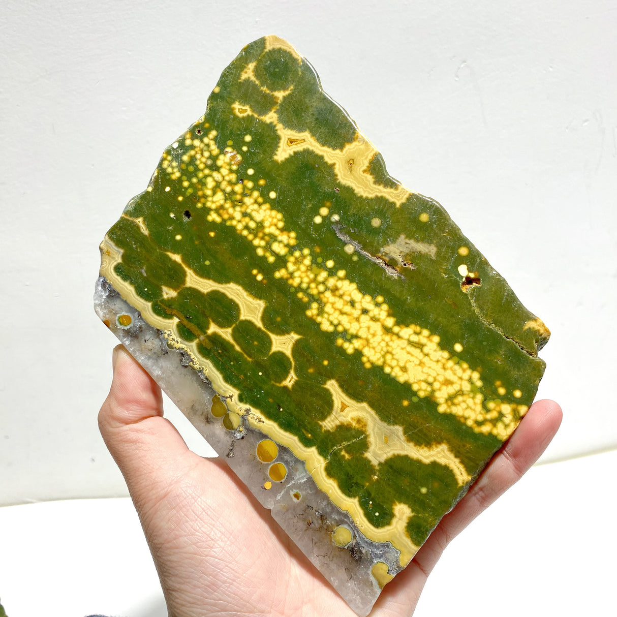 5 Pieces Large 8th Vein Ocean Jasper Slabs