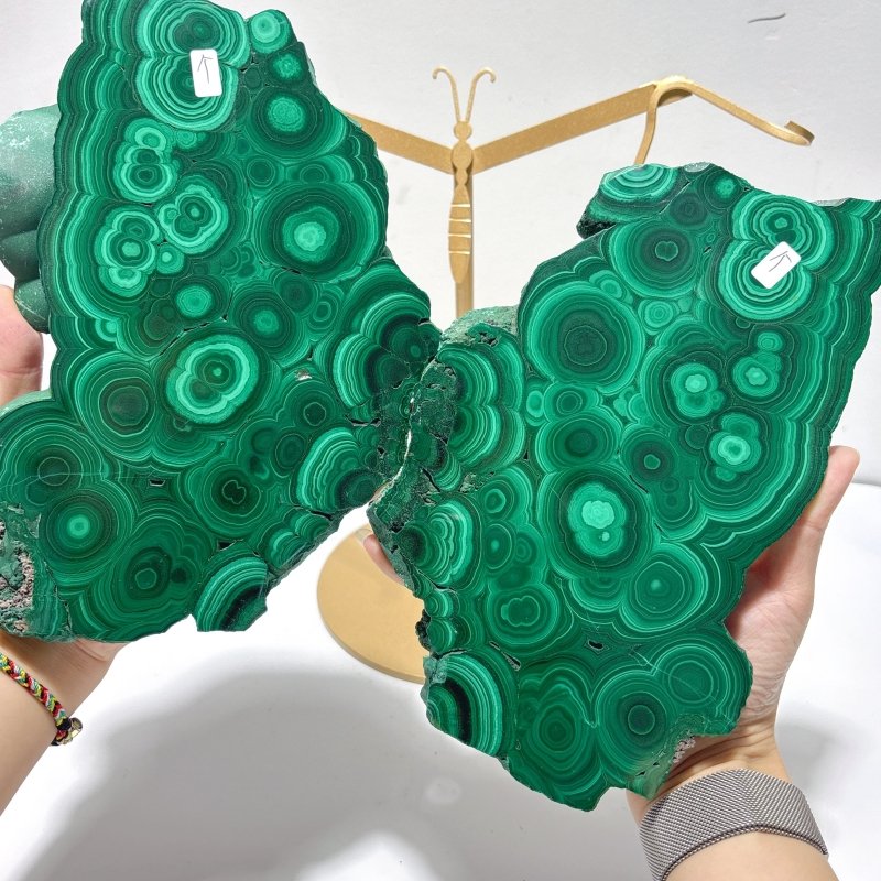 Large Polished Malachite Raw Slab Butterfly Wing With Stand(#8) - Wholesale Crystals