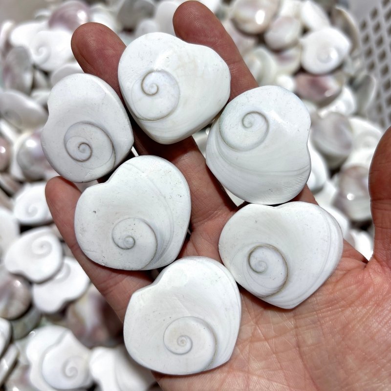 Polished Shell Fossil Heart Wholesale -Wholesale Crystals