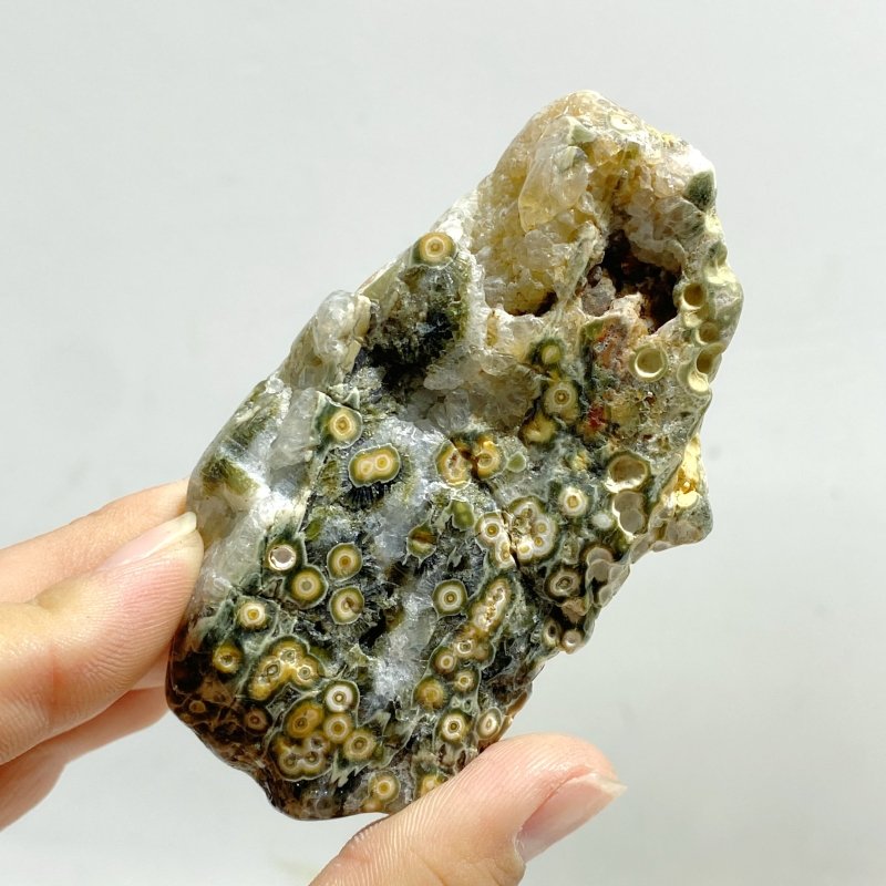 Rough Shape Polished 8th Vein Ocean Jasper Wholesale - Wholesale Crystals
