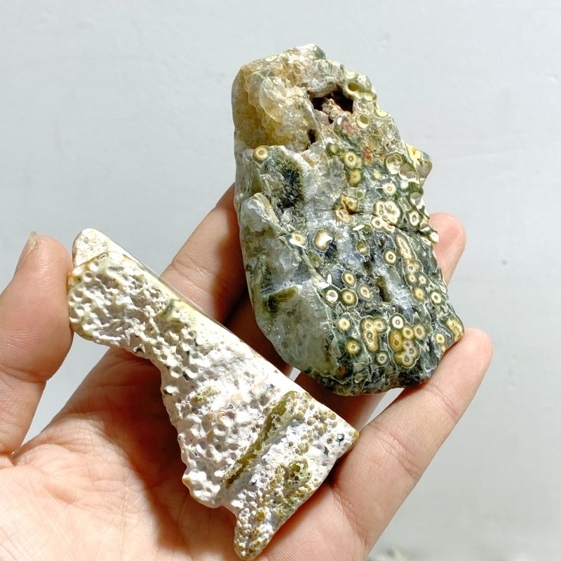 Rough Shape Polished 8th Vein Ocean Jasper Wholesale - Wholesale Crystals