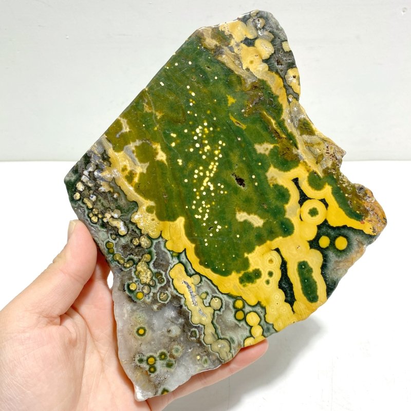 Unique 8th Vein Ocean Jasper Slab With Stand 4 - Wholesale Crystals