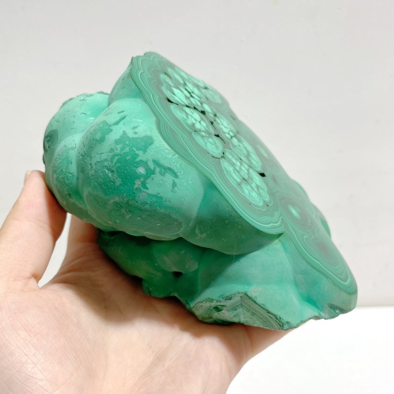 Unique Malachite Specimen Raw Bottom With Stand - Wholesale Crystals