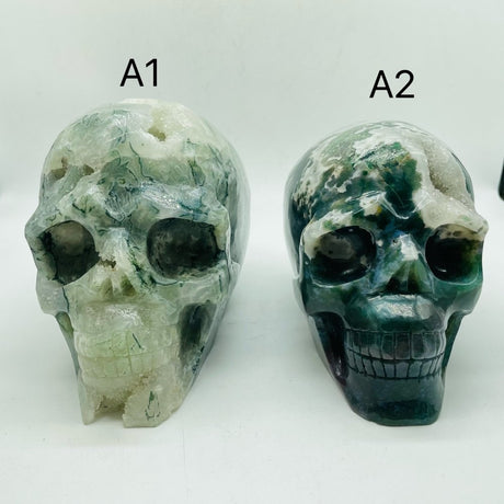 2 Pieces High Quality Large Druzy Moss Agate Skull Carving -Wholesale Crystals