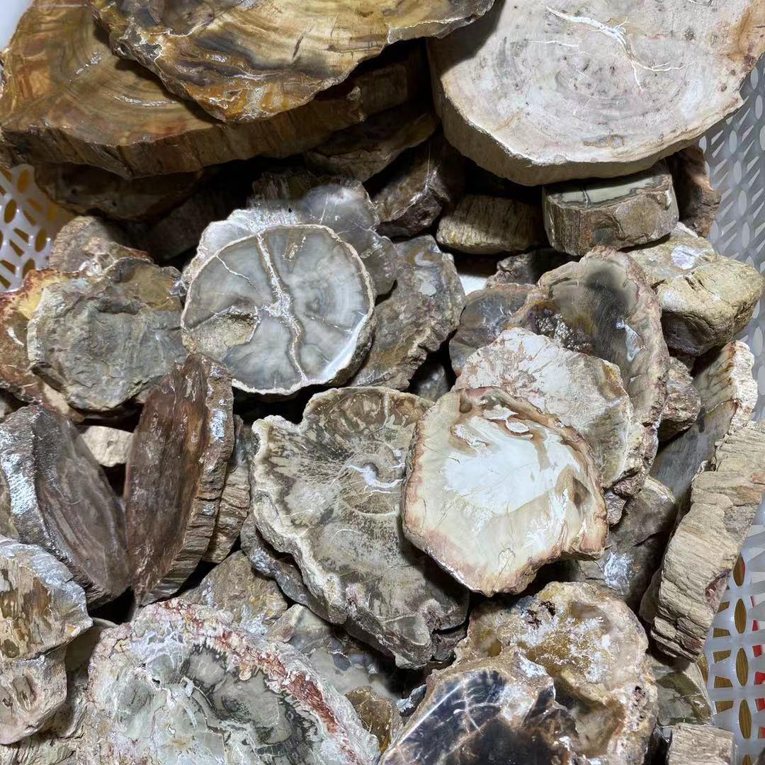 Fossil wood stone 1kg(2.2lbs) -Wholesale Crystals