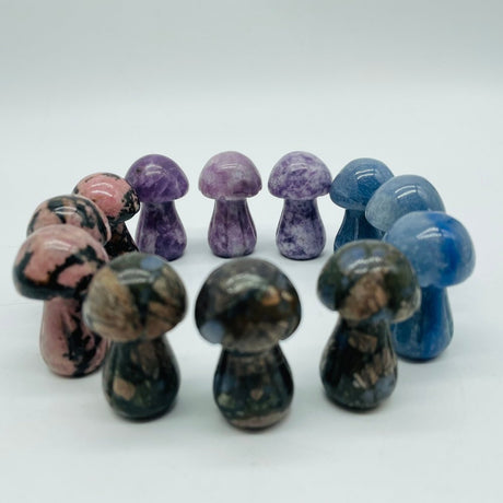 4 Types Mushroom Lepidolite & Rhodonite & Que Sera Wholesale -Wholesale Crystals