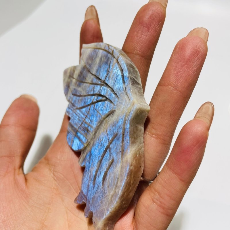 5 Pairs Butterfly Wing Carving With Stand Morocco Agate Moonstone -Wholesale Crystals