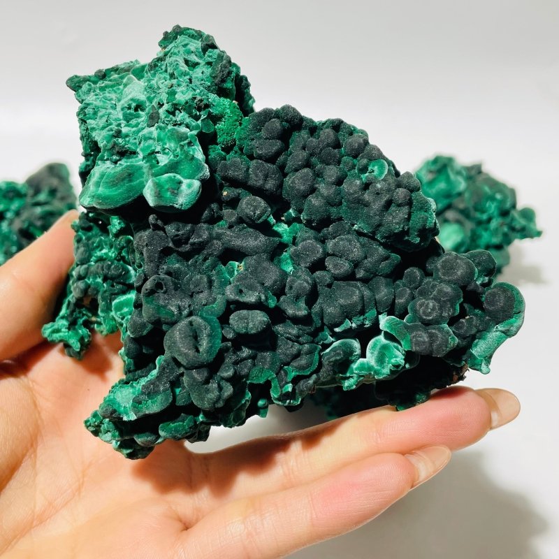 5 Pieces High Quality Raw Malachite Specimen -Wholesale Crystals