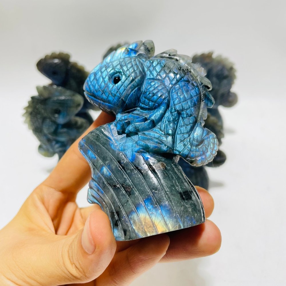 6 Pieces High Quality Labradorite Lizard Chameleon Carving -Wholesale Crystals