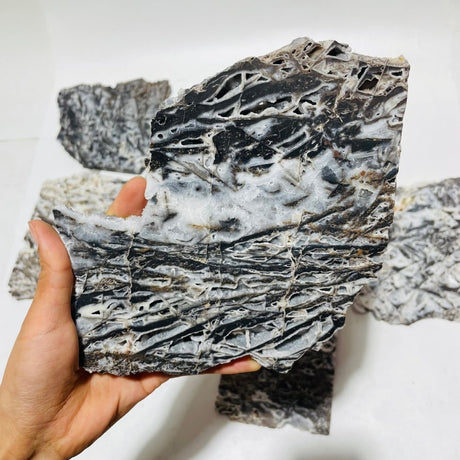 9 Pieces Large Sphalerite Slab -Wholesale Crystals