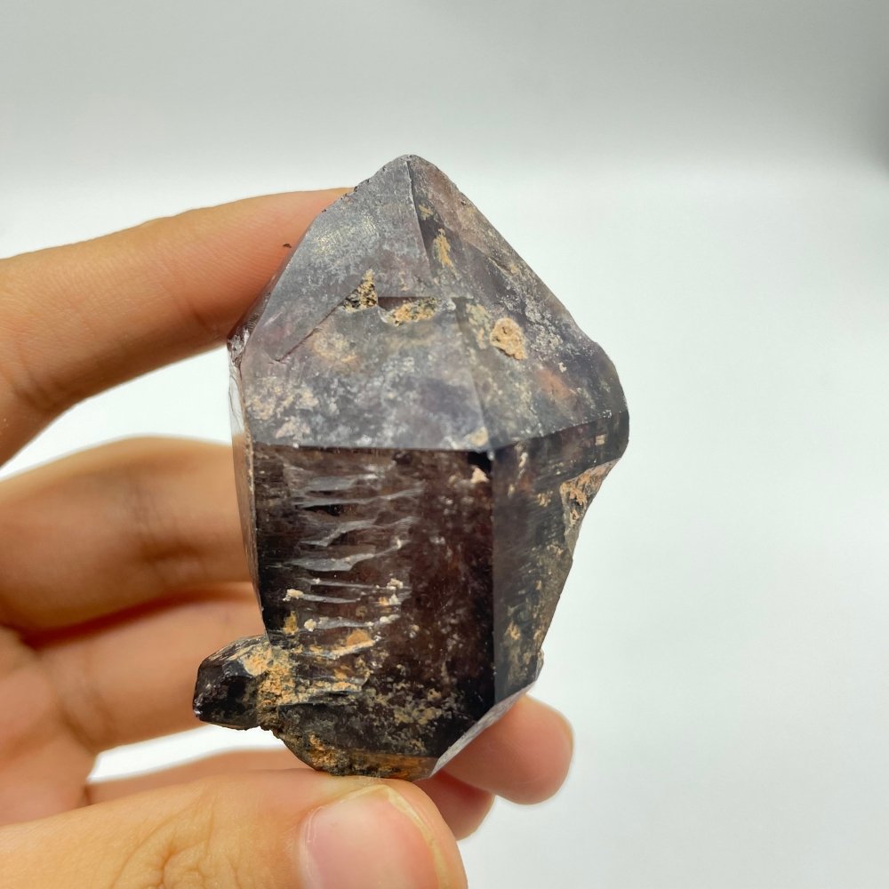 A10 Scepter Super7 Amethyst Enhydro Crystal -Wholesale Crystals