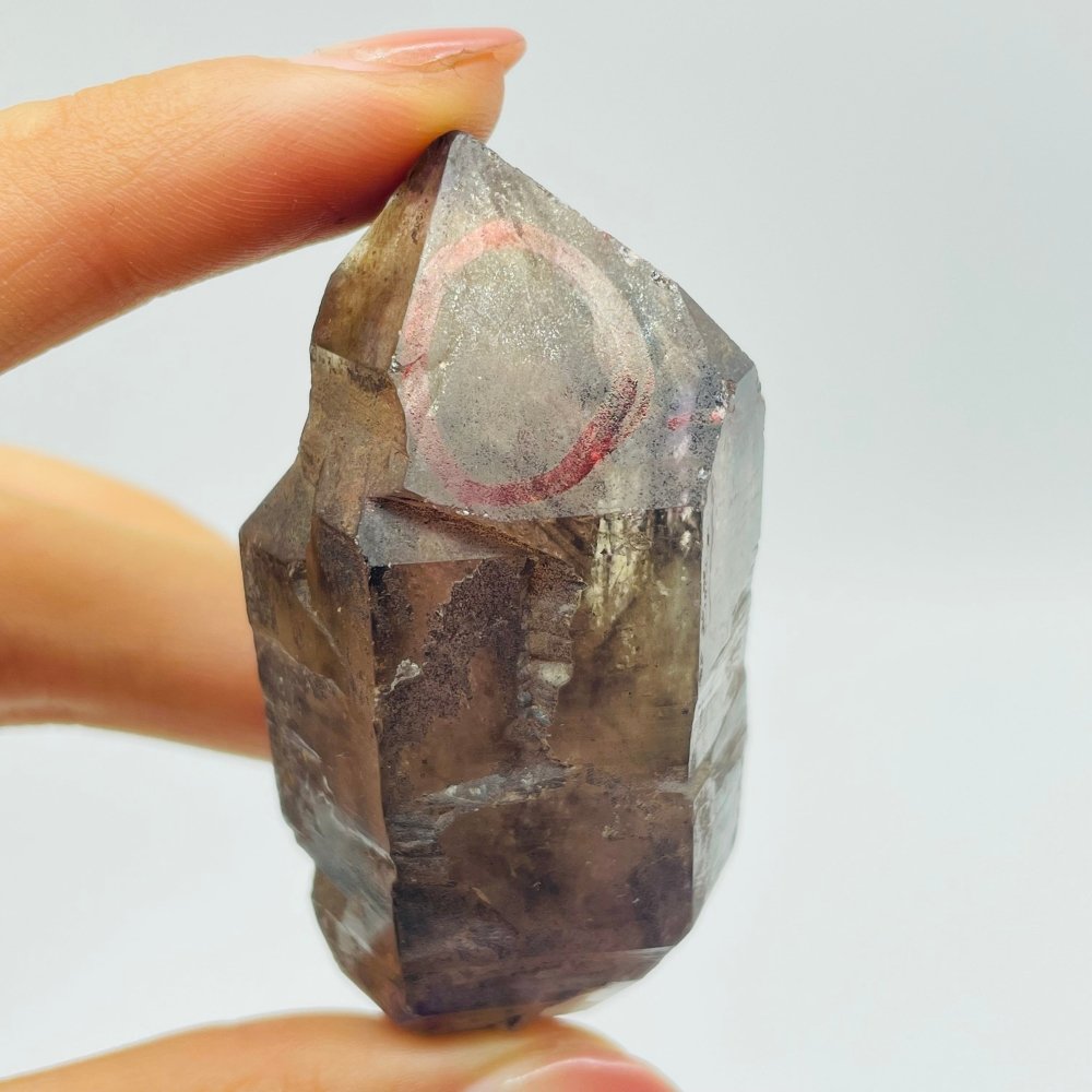 A15 Scepter Super7 Amethyst Enhydro Crystal -Wholesale Crystals