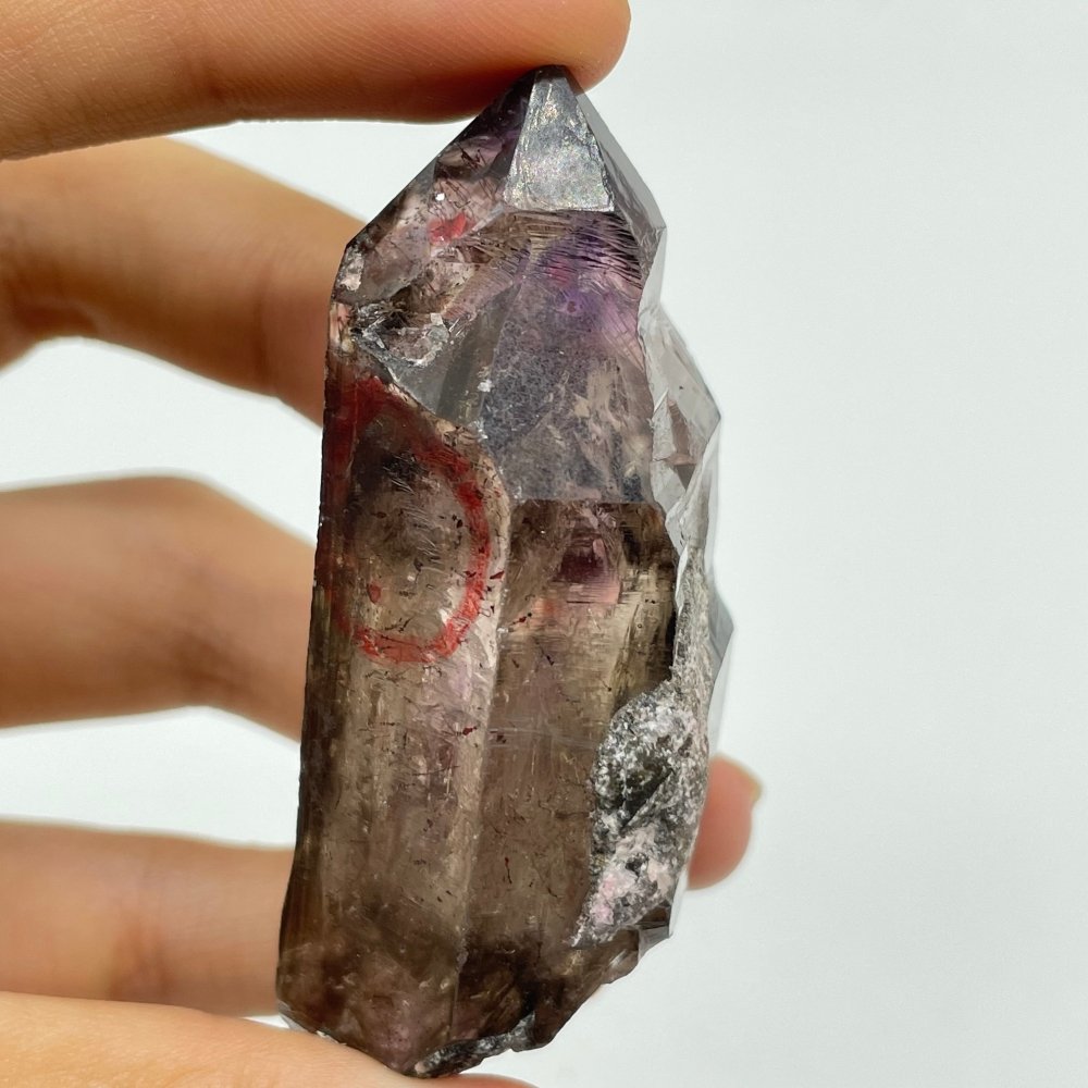 A27 Scepter Super7 Amethyst Enhydro Crystal -Wholesale Crystals