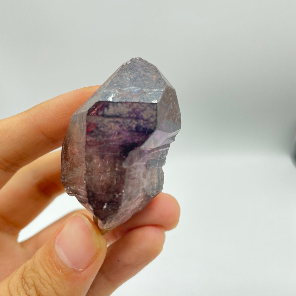 A35 Scepter Super7 Amethyst Enhydro Crystal -Wholesale Crystals