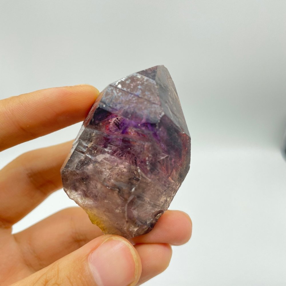 A35 Scepter Super7 Amethyst Enhydro Crystal -Wholesale Crystals
