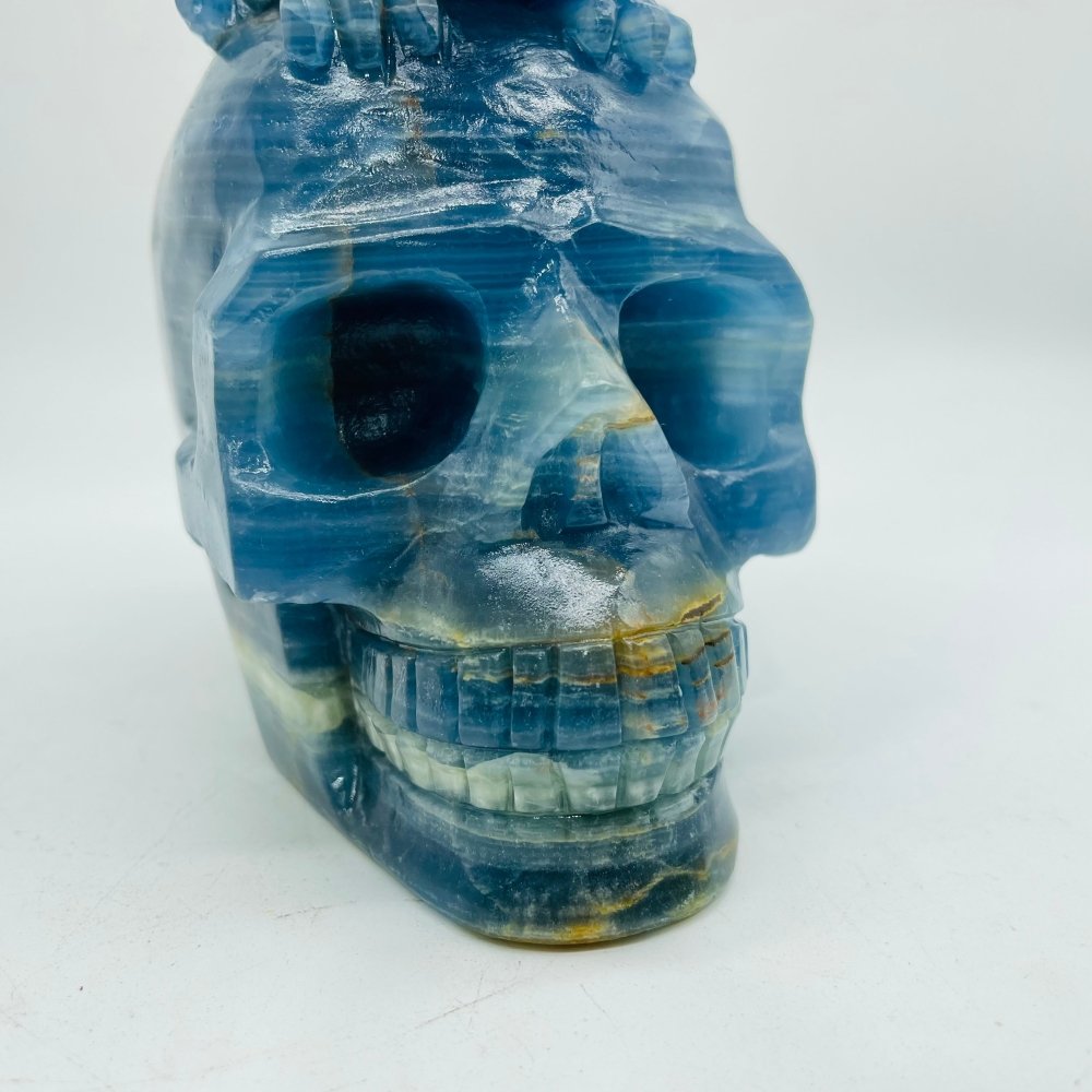 High Quality Blue Onyx Dinosaur Skull Carving -Wholesale Crystals