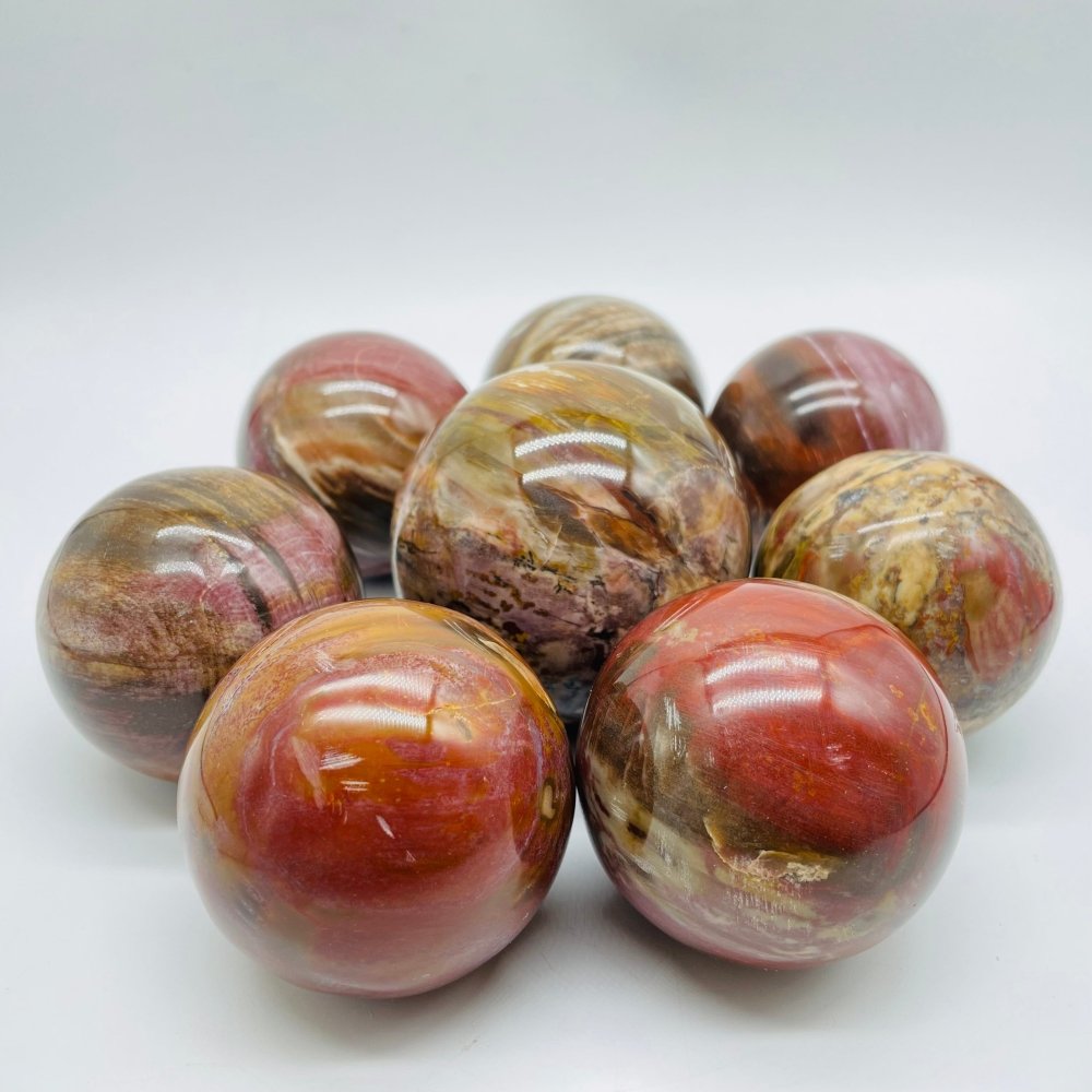 Petrified Wood Sphere Ball Wholesale -Wholesale Crystals