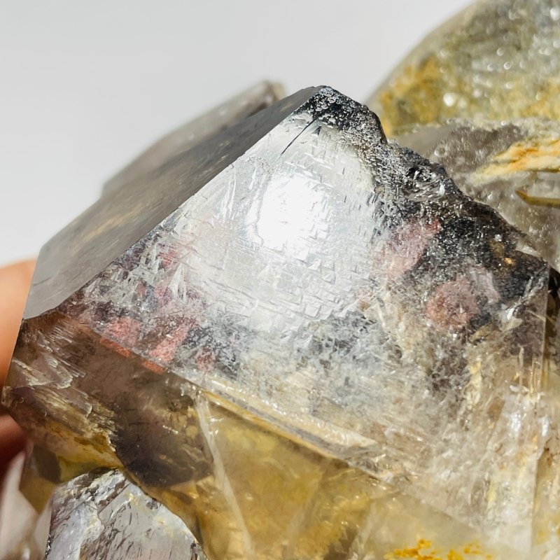 Record Keeper Enhydro Smoky Quartz Backbone Healing Energy Crystal -Wholesale Crystals