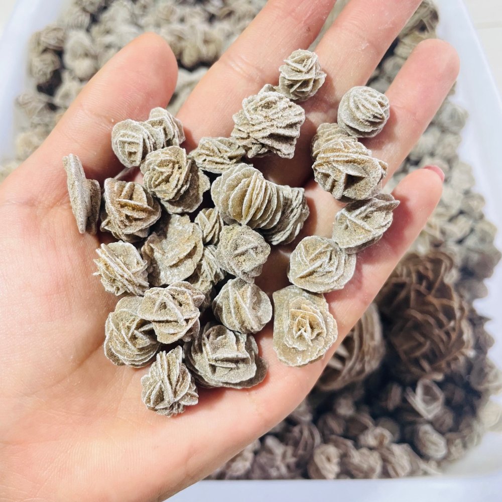 Small Desert Rose Raw Wholesale -Wholesale Crystals