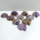 10 Pieces Amethyst Mixed Agate Turtle Carving -Wholesale Crystals