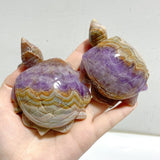 10 Pieces Amethyst Mixed Agate Turtle Carving -Wholesale Crystals