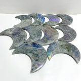 10 Pieces Beautiful Labradorite Moon Carving -Wholesale Crystals