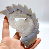 10 Pieces Geode Agate Druzy Indian Feathers Carving - Wholesale Crystals