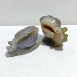 10 Pieces Geode Druzy Agate Snail Carving -Wholesale Crystals