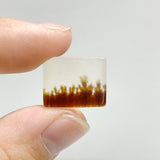 106 Pieces Natural Scenic Dendritic Agate Cabochon - Wholesale Crystals
