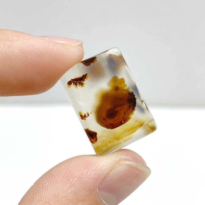 106 Pieces Natural Scenic Dendritic Agate Cabochon - Wholesale Crystals