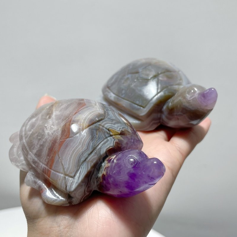 11 Pieces Amethyst Mixed Agate Turtle Carving - Wholesale Crystals