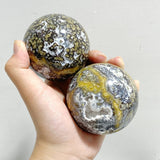 11 Pieces Beautiful Geode Druzy 8th Vein Ocean Jasper Spheres -Wholesale Crystals