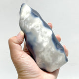 11 Pieces Black Orca Agate Flame Carving - Wholesale Crystals