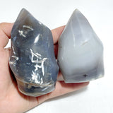 11 Pieces Black Orca Agate Flame Carving - Wholesale Crystals