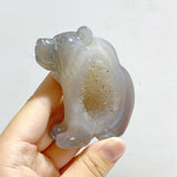11 Pieces Geode Druzy Agate Bear Carving - Wholesale Crystals