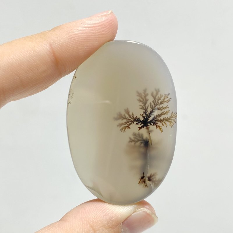 11 Pieces Natural Rare Scenic Dendritic Agate Stone - Wholesale Crystals