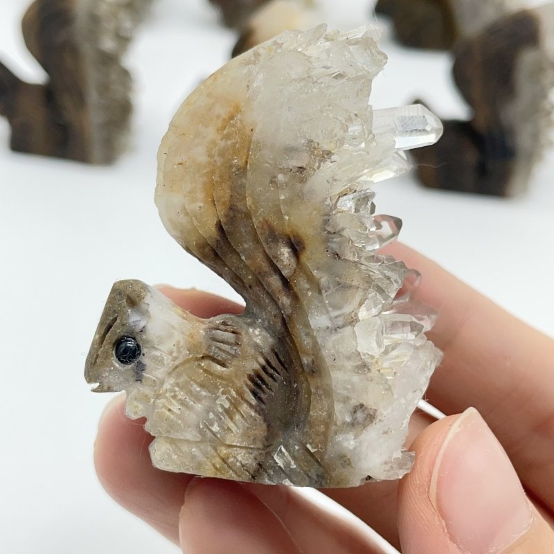 12 Pieces Clear Quartz Cluster Squirrel Carving - Wholesale Crystals