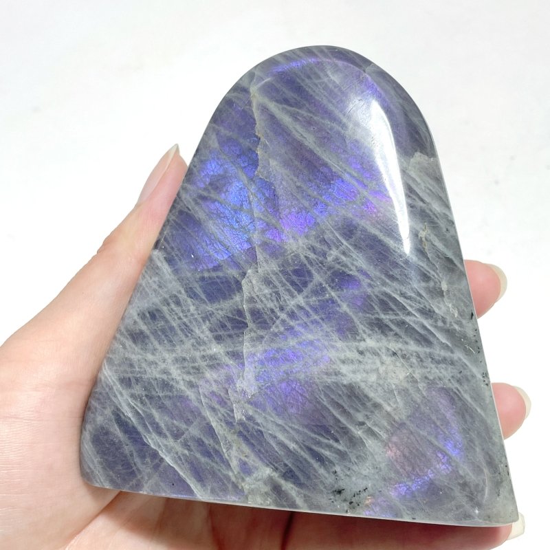 12 Pieces Large Purple Labradorite Free Form - Wholesale Crystals