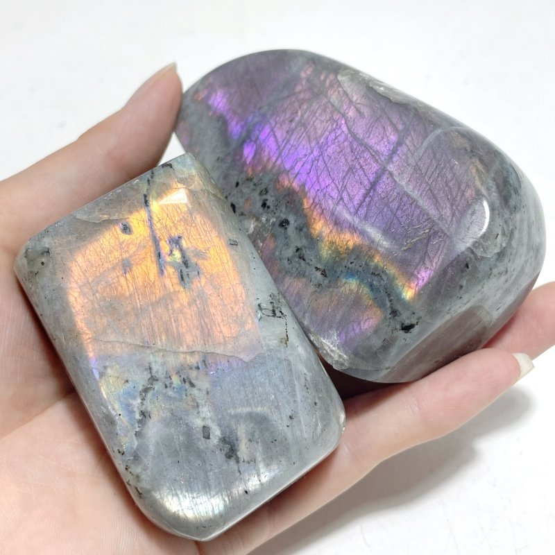 12 Pieces Large Purple Labradorite Free Form - Wholesale Crystals