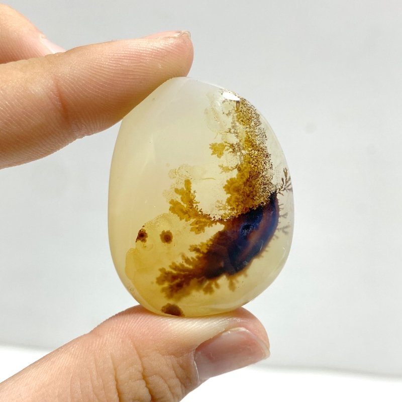 12 Pieces Natural Rare Scenic Dendritic Agate Cabochon - Wholesale Crystals
