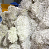 12.5KG Clear Quartz Cluster Mixed Apophyllite Pyrite Mineral Specimen (Sea Freight Only) -Wholesale Crystals