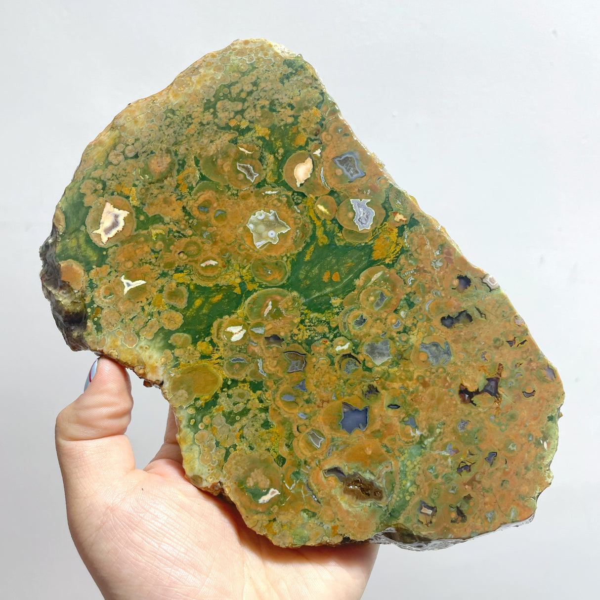 7 Pieces Peacock Eye Rain Forest Jasper Slab